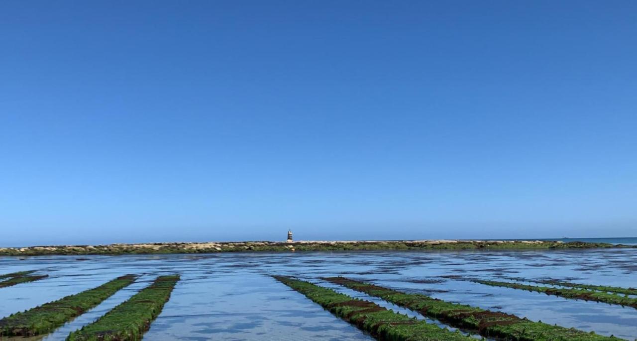 Les Cormorans Saint-Vaast-la-Hougue Exterior foto